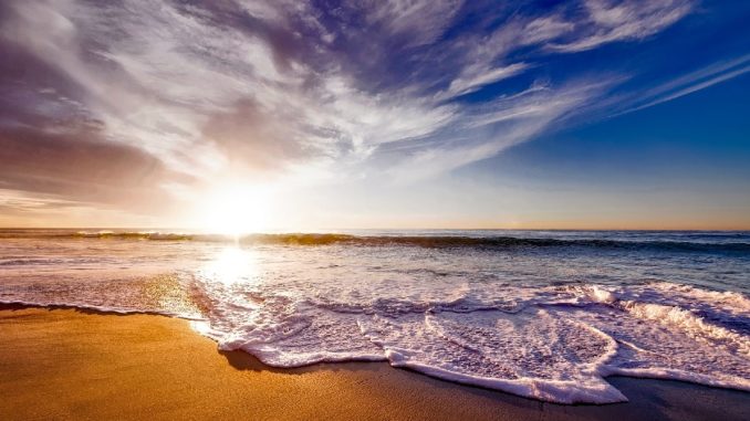 Umwelt und Meer